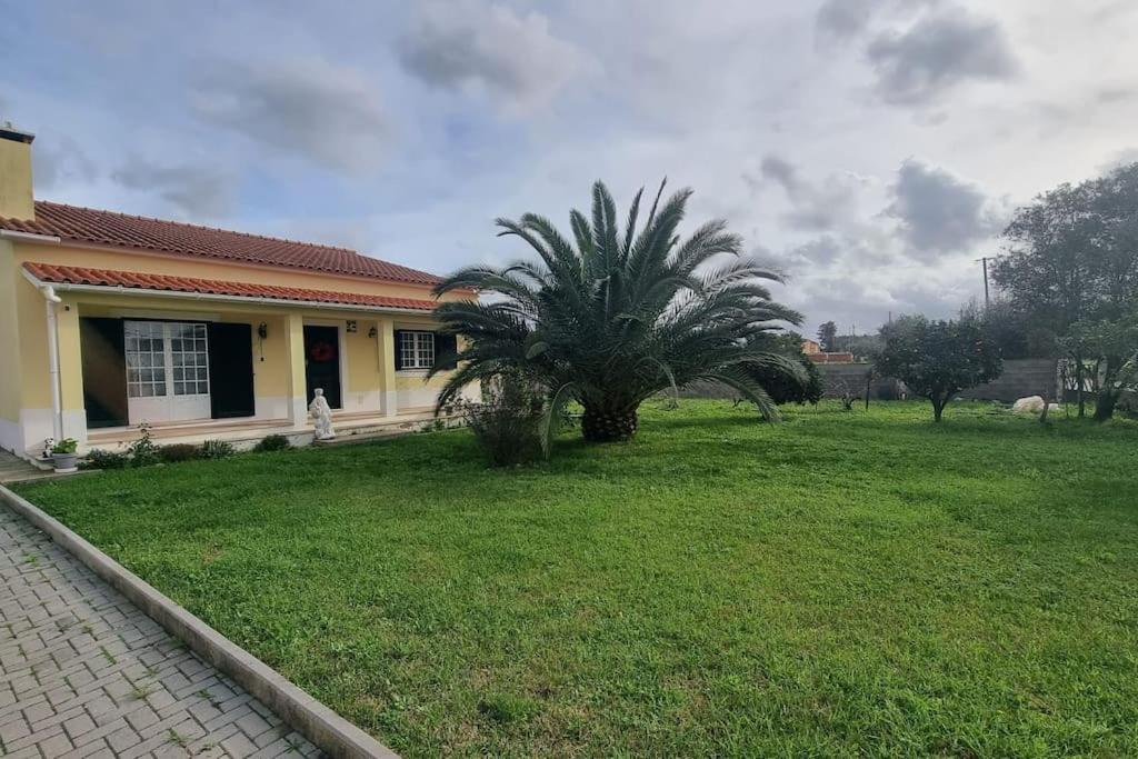 Quinta Marinhais Para Ferias No Ribatejo Exteriör bild