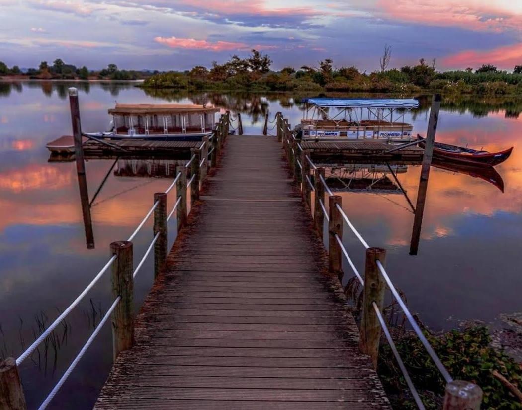 Quinta Marinhais Para Ferias No Ribatejo Exteriör bild