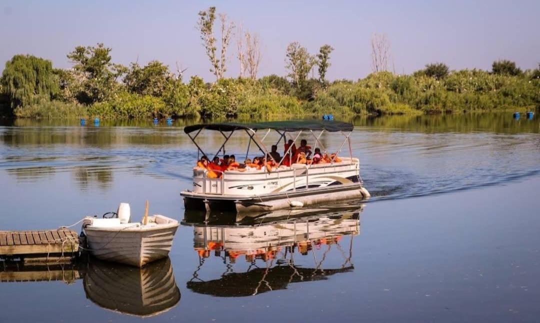 Quinta Marinhais Para Ferias No Ribatejo Exteriör bild