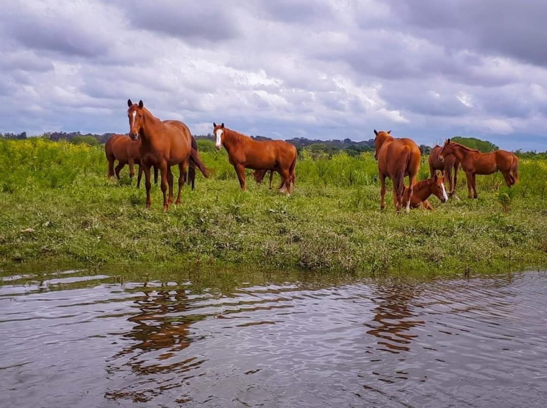 Quinta Marinhais Para Ferias No Ribatejo Exteriör bild