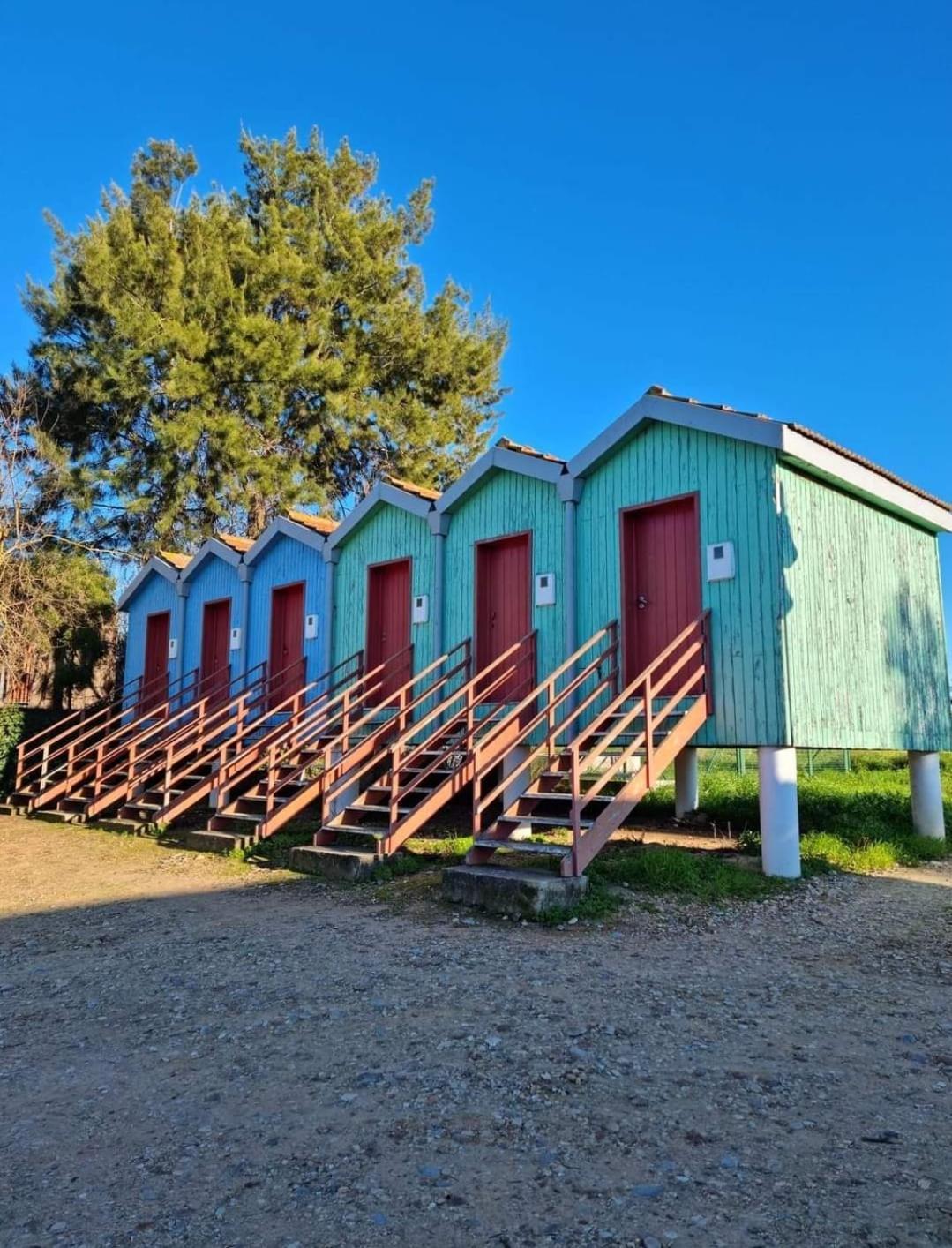 Quinta Marinhais Para Ferias No Ribatejo Exteriör bild
